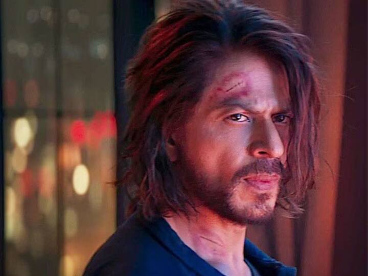 पठाण चित्रपटात शाहरुख खान, दीपिका पादुकोण (Deepika Padukone), जॉन अब्राहम (John Abraham), आशुतोष राणा आणि डिंपल कपाडिया या कलाकरांनी मुख्य भूमिका साकारली आहे.