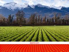 एक एकड़ खेती से 50,000 कमाने का सुनहरा मौका....किसानों को 100% अनुदान भी मिल रहा, फटाफट आवेदन करें