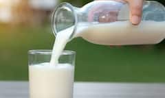 Milk Production : जागतिक दूध उत्पादनात भारत अव्वल