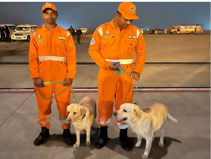 Turkey earthquake: Julie, Romio among four-member NDRF dog squad to carry out rescue mission Turkey Earthquake : துருக்கி நிலநடுக்கம் : மீட்புப் பணியில் இந்தியாவின் ஜூலி, ரோமியோ, ஹனி, ரேம்போ... யார் இவர்கள்?