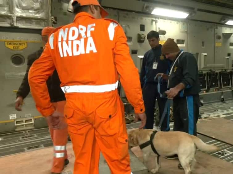 Turkey Earthquake Dog Squads Reach Turkey To Help In Relief Work Dog Squads Reach Earthquake-Hit Turkiye To Help In Relief Work