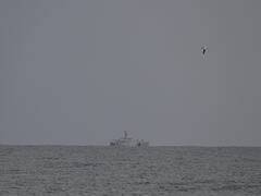 White House Says Chinese 'Surveillance' Balloons Operated Over 'Five Continents': Report