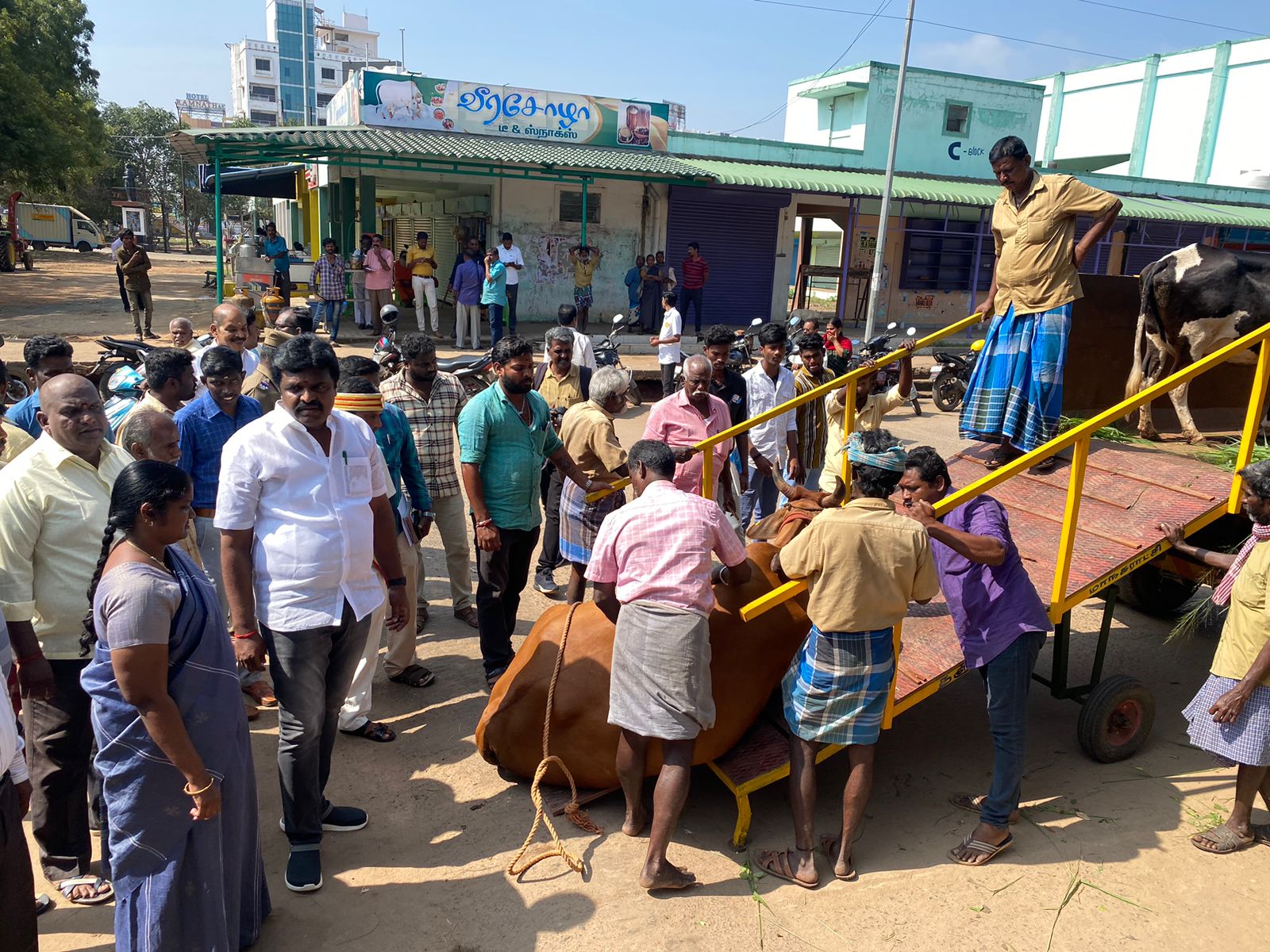 மாநகராட்சி அதிரடி நடவடிக்கையால் சாலைகளில் சுற்றித்திரியும் மாடுகள் எண்ணிக்கை குறைந்தது - தஞ்சை மேயர்