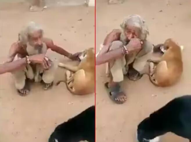 poor-man-giving-food-to-hungry-stray-dogs-emotional-humanity-viral-video ਬੜੀ ਮੁਸ਼ਕਿਲ ਨਾਲ ਮਿਲੀ ਸੀ ਖਾਣ ਲਈ ਰੋਟੀ, ਗਰੀਬ ਸ਼ਖਸ ਨੇ ਉਹ ਵੀ ਜਾਨਵਰਾਂ ਨੂੰ ਦੇ ਦਿੱਤੀ... ਵੇਖੋ ਵੀਡੀਓ