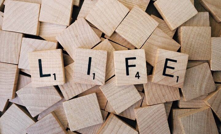 ১৮১৮ সালে ব্রিটেন থেকে প্রথম ভারতে আমদানি হয় জীবন বিমার। কলকাতায় ইউরোপীয়দের হাতে সূচনা হয় ওরিয়েন্টাল লাইফ ইনস্যুর্যান্স কোম্পানির, ভারতের মাটিতে গড়ে ওঠা প্রথম বিমা সংস্থার। সেই সময় ইউরোপীয়দের জীবনের নিশ্চয়তা স্বরূপ জীবন বিমার প্রবর্তন ঘটে ভারতে। সেই সময় আরও যে সমস্ত বিমা সংস্থা গজিয়ে ওঠে, তারা ভারতীয়দের জীবনের নিশ্চয়তা প্রদানে আগ্রহী ছিল না মোটেই।