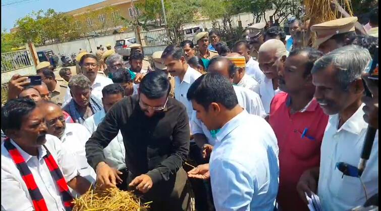 team of Central Technical Officers examined the moisture content of rice kernels at the direct rice procurement center of Thalaignayiru government TNN திருவாரூர்: அழுகிய நெற்கதிர்களுடன் அதிகாரிகளிடம் முறையிட்ட விவசாயிகள்