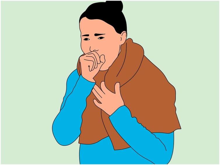 Woman dies after cold-cough in Surat Surat: સુરતમાં શરદી-ઉધરસ બાદ પરિણીતાનું મોત, H3N2 વાયરસના કેટલાક લક્ષણો દેખાયાનો દાવો