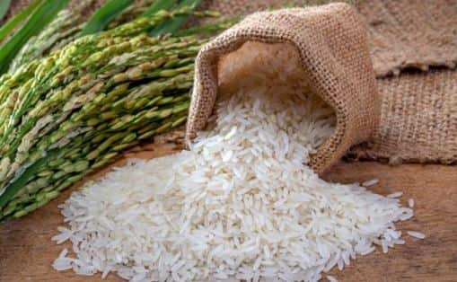 रब्बी हंगामातील पिकांच्या पेरणीच्या आकडेवारीनुसार केंद्र सरकारनं सर्वसामान्यांना दिलासा दिला आहे. देशाच्या काही भागात रब्बी हंगामाच्या पेरण्या अजूनही सुरू आहेत. रब्बी पिकाखालील एकूण पेरणी क्षेत्र 2021-22 मधील 697.98 लाख हेक्टर क्षेत्रावर झाली होती. यावर्षी म्हणजे 2022-23 ही पेरणी 720.68 लाख हेक्टर क्षेत्रावर झाली आहे.