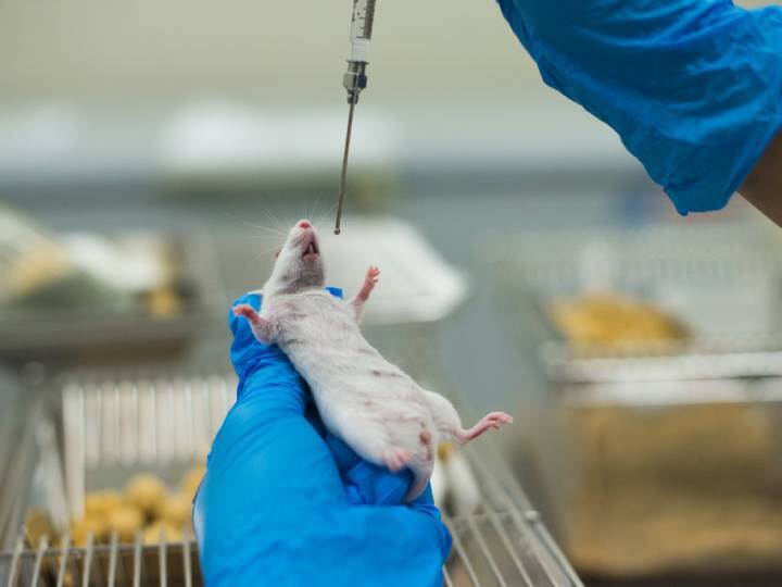 FDA no longer needs to require animal tests before human drug trials हर साल बच जाएगी 11 करोड़ जानवरों की जान, मेडिकल रिसर्च की दुनिया में होने वाला है क्रांतिकारी बदलाव