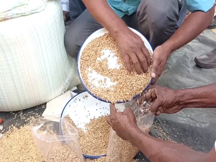 பருவம் தவறி பெய்த மழை - ஈரப்பதம் குறித்து ஆய்வு மேற்கொண்ட மத்திய குழு