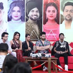 Bigg Boss 16: Shalin Bhanot To Priyanka Choudhary, A Look At The Top 5 Finalists | IN PICS