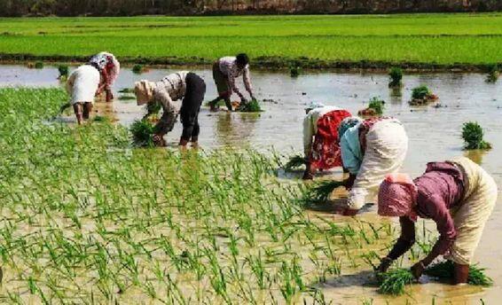 PM ਕਿਸਾਨ ਦੇ ਲਾਭਪਾਤਰੀਆਂ ਲਈ ਬੁਰੀ ਖਬਰ