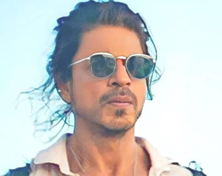 Shah Rukh Khan Thanks Message After Pathaan Blockbuster SRK Tweet Hit Sun is alone it Burns Shah Rukh Khan : પઠાણની શાનદાર સફળતા બાદ કિંગખાન શાહરૂખે ટ્વિટ કરી કહ્યું...
