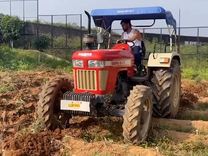 तो सध्या शेतीत रमला आहे. पण आयपीएलच्या आगामी हंगामात धोनी चेन्नई संघाचं नेतृत्व करणार आहे. त्याआधी धोनी शेतकरी झाल्याचं पाहायला मिळालेय.