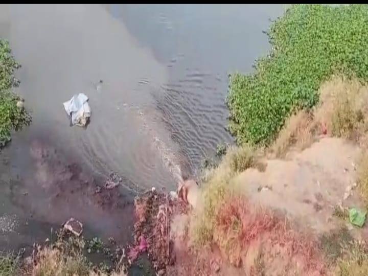 Madurai News: Vaigai water is discolored due to sewage mixed in Vaigai river TNN மதுரையில் வைகை ஆற்றில் வெளிப்படையாக கலக்கப்படும் கழிவுகளால் நிறம் மாறிய தண்ணீர் - பொதுமக்கள் அச்சம்