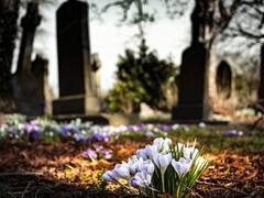 ऑस्ट्रेलिया में भारतीय मूल के युवक ने एक्स-गर्लफ्रेंड की कर दी थी हत्या, 2 साल बाद खुद कोर्ट में कुबूला जुर्म