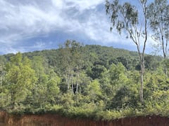 Telangana's Forest Cover Goes Up By Over 6.5% In Between 2015 And 2021: Report