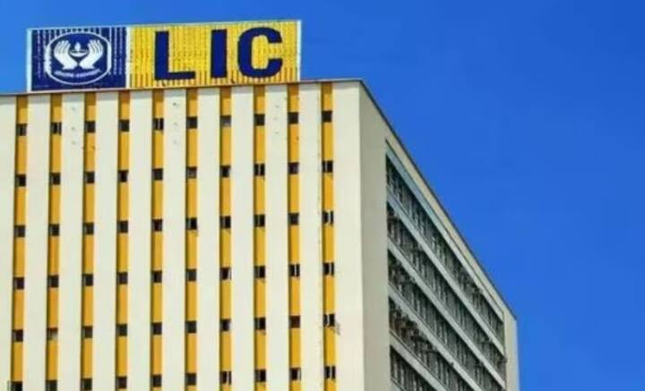 ২০২২ সালের পরিসংখ্যান অনুযায়ী, দেশে শাখাবিস্তারকারী সংস্থাগুলির মধ্যে LIC-ই বৃহত্তম। তাদের আটটি জোনাল, ১১৩টি বিভাগীয়, ৭৪টি গ্রাহক দফতর রয়েছেয় শাখা দফতর রয়েছে ২০৪৮টি এবং স্যাটেলাইট দফতর রয়েছে ১৫৪৬টি। LIC-র ৪২ হাজার পয়েন্টে বিনিয়োগ করতে পারেন গ্রাহক। সংস্থার ১৩.৫ লক্ষ এজেন্ট পলিসি বিক্রির কাজে নিযুক্ত।