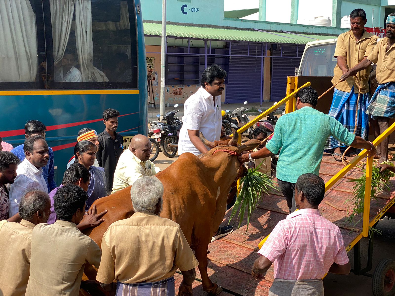 மாநகராட்சி அதிரடி நடவடிக்கையால் சாலைகளில் சுற்றித்திரியும் மாடுகள் எண்ணிக்கை குறைந்தது - தஞ்சை மேயர்