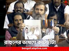 মোদি-আদানি সংযোগ নিয়ে প্রশ্ন, রাহুলের ভাষণের সেই অংশই বাদ দিল সংসদ!
