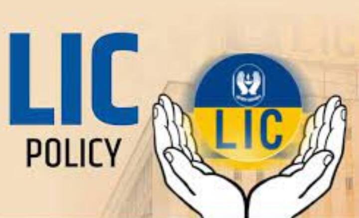 জীবন বিমা ব্যবসার জাতীয়করণের দাবিও উঠতে থাকে পাশাপাশি। তবে ১৯৪৪ সালে সেই দাবি জোর পায়। সেই নিয়ে সংশোধনী আইনও বিলও তৈরি হয়। কিন্তু তার বাস্তবায়ন ঘটে আরও আনেক পরে। ভারতীয় জীবন বিমা আইনের আওতায় ১৯৫৬ সালে জাতীয়করণ ঘটে, অর্থাৎ জাতীয় সম্পত্তিতে পরিণত হয় LIC. সেই সময় ১৫৪টি ভারতীয় বিমা সংস্থা, ১৬টি ভারত বহির্ভূত বিমা সংস্থা এবং ৭৫টি প্রভিডেন্টের একত্রীকরণ ঘটিয়ে LIC-র পত্তন হয়। তদানীন্তন ভারত সরকার LIC-তে ৫ কোটি টাকা ঢালে।