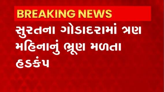 Surat: લક્ષ્મીનારાયણ સોસાયટીના દરવાજા પાસે મળ્યુ ભ્રૂણ