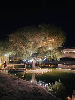 Shanelle Irani Arjun Bhalla Wedding: शाही अंदाज में सजा खींवसर फोर्ट, 500 साल पुराने किले में आज फेरे लेंगी स्मृति ईरानी की बेटी, देखिए इनसाइड फोटोज