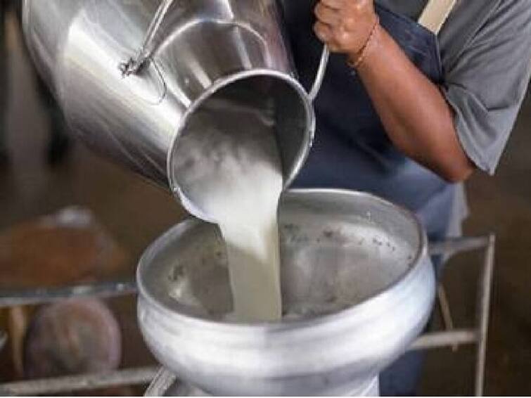 Maharashtra Dairy Farmers All India Kisan Sabha demands seal property of Prabhat lactis milk company in Akole Ahmednagar Maharashtra Maharashtra Dairy Farmers : प्रभात  (लॅक्टीस) दूध कंपनीची मालमत्ता सील करा; दूध उत्पादक शेतकरी संघर्ष समितीची मागणी