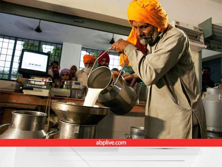 milk production in India  become the largest milk producing nation in world Milk Production: दूध उत्पादन में भारत का परचम... बना दुनिया का सबसे बड़ा दूध उत्पादक देश