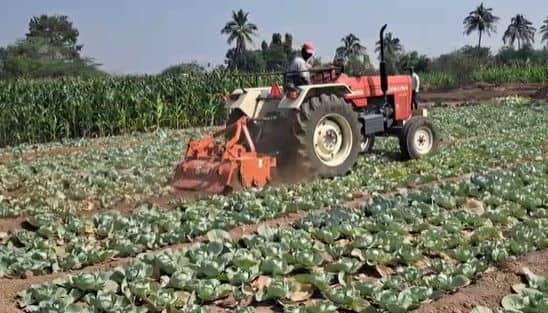 एका बाजूला शेतकऱ्यांचा (Farmers) उत्पादन खर्च वाढला असताना दुसरीकडं शेतमालाला चांगला दर मिळत नसल्याचे चित्र दिसत आहे. त्यामुळं राज्यातील शेतकरी अडचणीत सापडले आहेत.