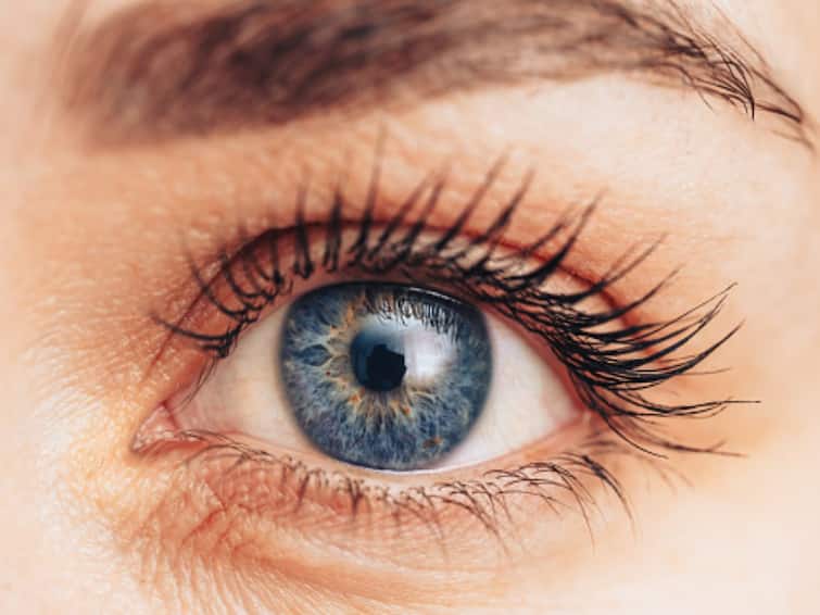 Did you know there is a link between thyroid and dry eyes? Find out here தைராய்டுக்கும் கண் வறட்சிக்கும் என்ன தொடர்பு? தீர்வு என்ன?