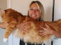 बिल्ली है या कुत्ता? इस तस्वीर को देख चौंक जाएंगे आप