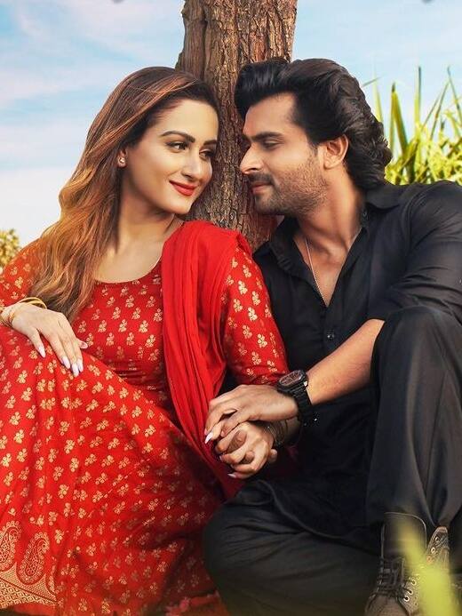 पत्नी दीपिका को छोड़ इनके संग इश्क फरमा रहे हैं शोएब!