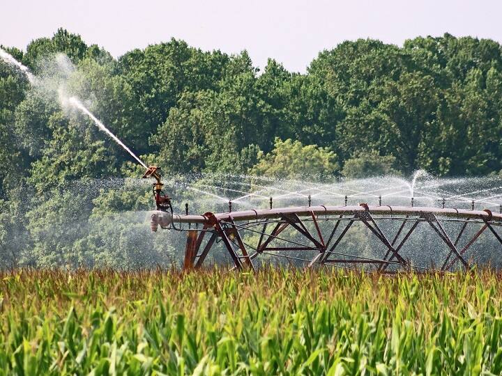 Big Relaxation to farmers Before Summers Rajasthan Govt Provide 75 percent Subsidy on Drip And Sprinkler Irrigation Subsidy Offer: गर्मी से पहले किसानों को बड़ी राहत! ड्रिप-स्प्रिंकलर सिस्टम पर मिल रही 75%  सब्सिडी, फटाफट कर दें आवेदन