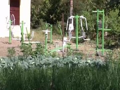 PHOTO : नांदेडमधील जि.प. शाळेतील विद्यार्थ्यांनी फुलवली सेंद्रिय शेती!