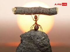 Safalta Ki Kunji: जिन लोगों में होते हैं ये 6 गुण, कामयाबी चूमती है उनके कदम, बढ़ता है मान-सम्मान