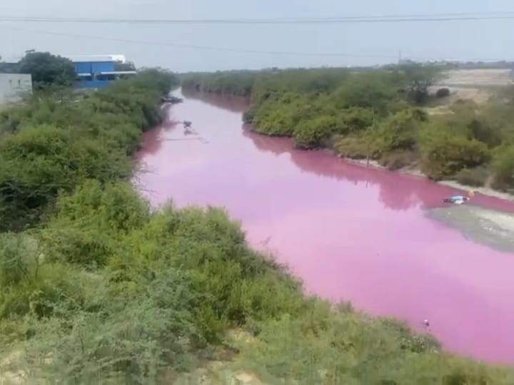 உப்பாற்று ஓடையில் மீன் கழிவுநீரை கலக்கிய மீன்பதப்படுத்தும் தொழிற்சாலைகள் - மூட உத்தரவு