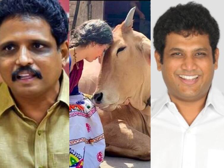 Cow hug day MP Su Venkatesan and TRB Rajaa codemns Feb 14 requests by animal welfare board Cow Hug Day: காதலர் தினம் வேணாம்! பசுவை கட்டி புடிக்கனுமா? - கொதித்தெழுந்த சு.வெங்கடேசன் எம்.பி!