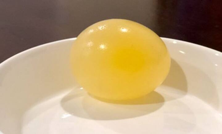 জীবাশ্মবিদদের মতে, শক্ত খোসার আবরণ যুক্ত ডিমের আগে, মেরুদণ্ডী প্রাণীরা প্রজননের ক্ষেত্রে জলের উপর নির্ভরশীল ছিল। উভচর প্রাণীরা আজও এই সীমাবদ্ধতা কাটিয়ে উঠতে পারেনি। আঠালো ডিমকে বাঁচিয়ে রাখতে সেটিকে আর্দ্র রাখতে হয় তাদের।