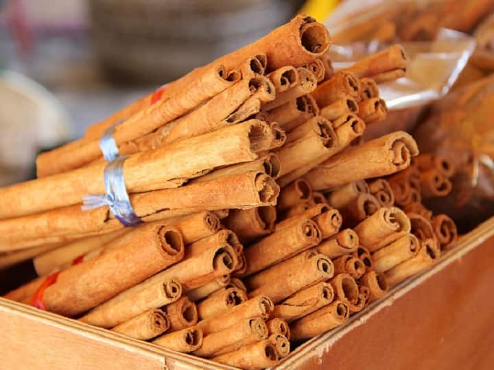 Cinnamon cultivation in 5 districts of Himachal Pradesh will yield production by 2025 2025 तक बाजार में आ जाएगी हिमाचली दालचीनी, इन 5 जिलों में चल रही वैज्ञानिक खेती