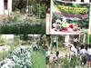Organic Farming In ZP School : नांदेडमधील जि.प. शाळेतील विद्यार्थी अभ्यासासोबत, गिरवत आहेत सेंद्रिय शेतीचे धडे; सांडपाण्याचा वापर करत फुलवली परसबाग