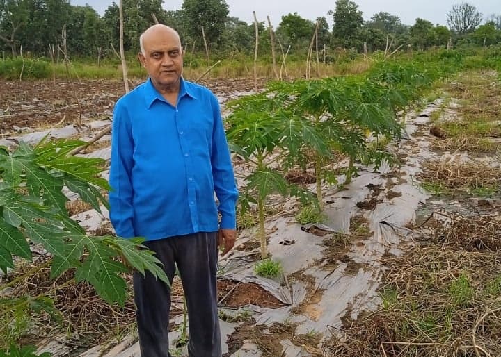 National Horticulture Mission become boon for farmers in chhattisgarh ANN Chhattisgarh: राष्ट्रीय बागवानी मिशन ने बदली किसानों की तकदीर, सालाना कमाई जानकर रह जाएंगे दंग