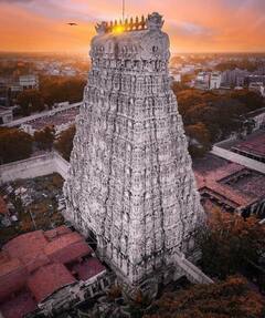 Tiruchendur murugan temple : ‘திருச்செந்தூரின் கடலோரத்தில்..’ கோலாகலமாக  நடைபெற்ற தை உத்திர வருஷாபிஷேகம்!