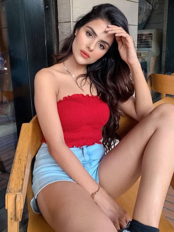 Bigg Boss फेम प्रियंका चाहर की स्ट्रगल स्टोरी