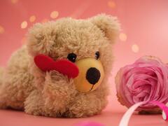 इन वेबसाइट पर मिल रहा सस्ता और क्यूट टेडी, आज ही हो जाएगी डिलीवरी