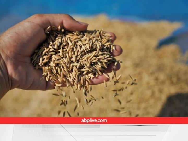 Rice bran in china has been included as a diet Paddy Husk: धान की भूसी से पेट भरेंगे इस देश के लोग, सरकार ने अपने नागरिकों को अधिसूचना भी जारी कर दी