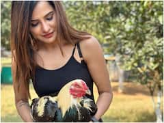 Ashu Reddy: నాటుకోడితో హాట్ బ్యూటీ అషూ రెడ్డి