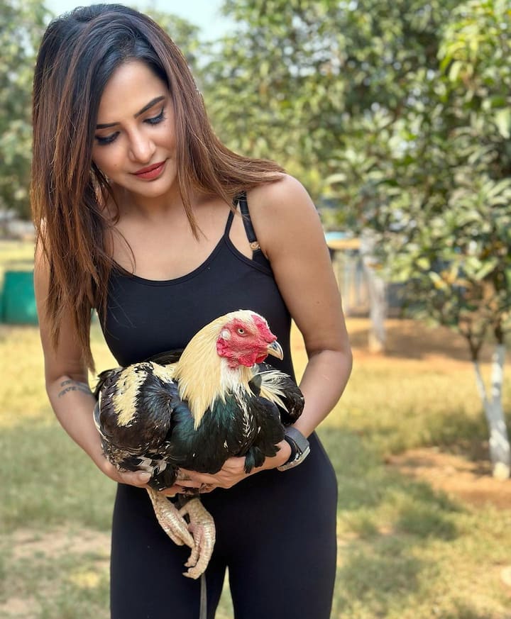అషూ రెడ్డి అందమైన ఫోటోలు -Image Credit: Ashu Reddy:/Instagram