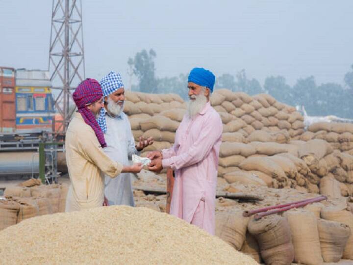 Wheat yield will not decrease due to increasing heat! Agricultural scientists advise farmers, do this work now Wheat Production: ਗਰਮੀ ਵਧਣ ਨਾਲ ਕਣਕ ਦਾ ਨਹੀਂ ਘਟੇਗਾ ਝਾੜ! ਖੇਤੀ ਵਿਗਿਆਨੀਆਂ ਦੀ ਕਿਸਾਨਾਂ ਨੂੰ ਸਲਾਹ, ਹੁਣੇ ਕਰੋ ਇਹ ਕੰਮ