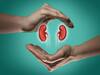 Kidney Transplant: औरंगाबादमध्ये एचआयव्हीग्रस्त व्यक्तीचे यशस्वी किडनी प्रत्यारोपण; एचआयवी संक्रमित पत्नीने वाचवले पतीचे प्राण